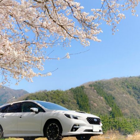 新年度のご挨拶と、イベントのお知らせ🌸