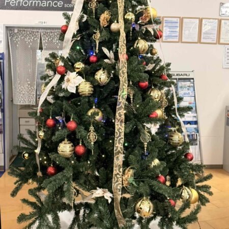 クリスマスツリー 新調しました🎄