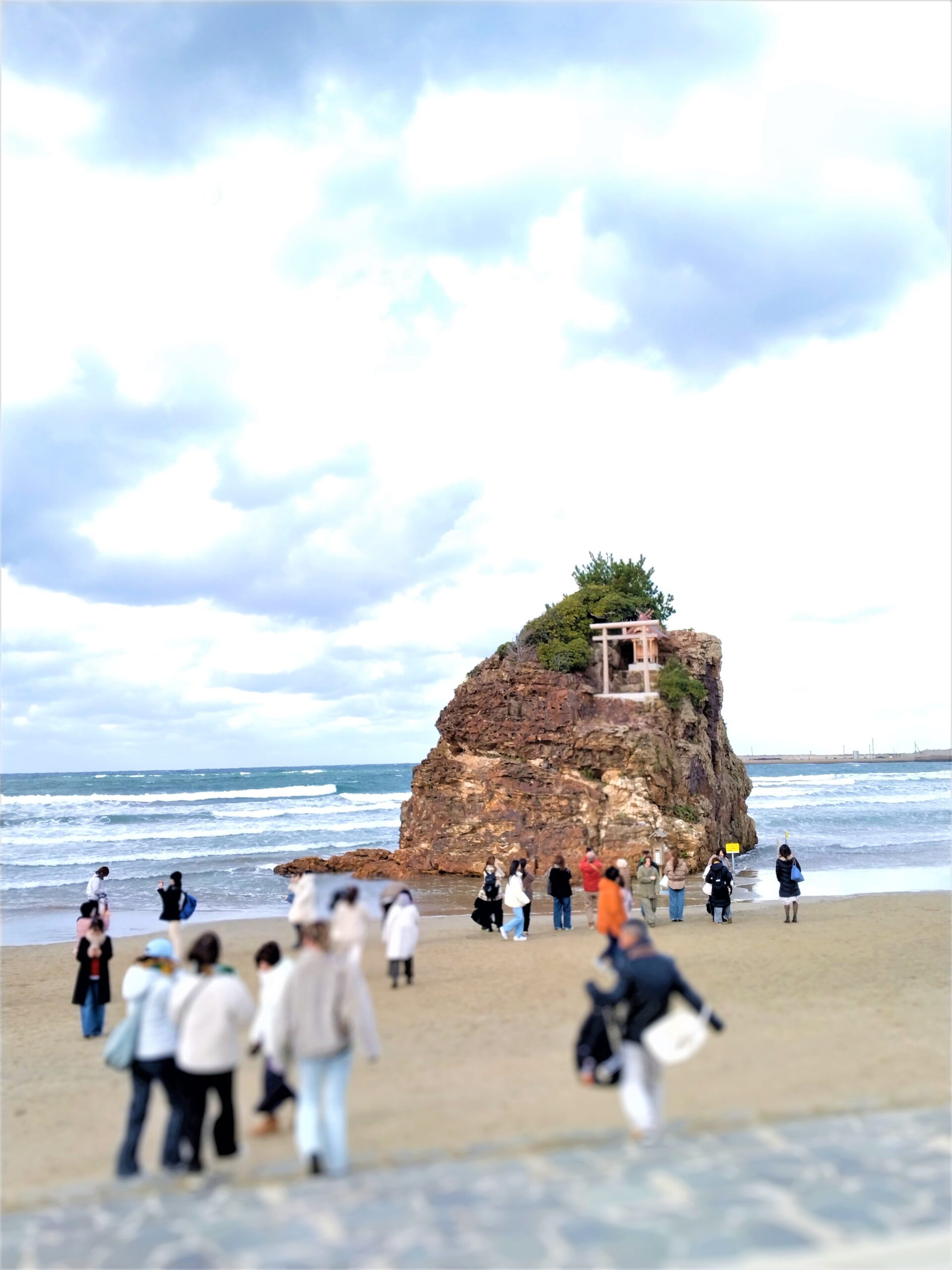 お出かけしました。