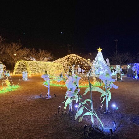 イルミネーションを見に行きました☆