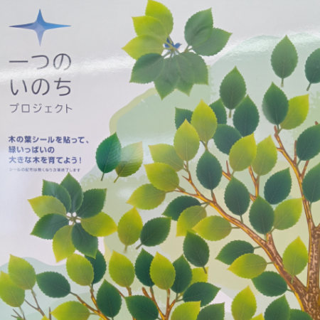 話題の『SOLTERRA～ｿﾙﾃﾗ』が取材されました😊