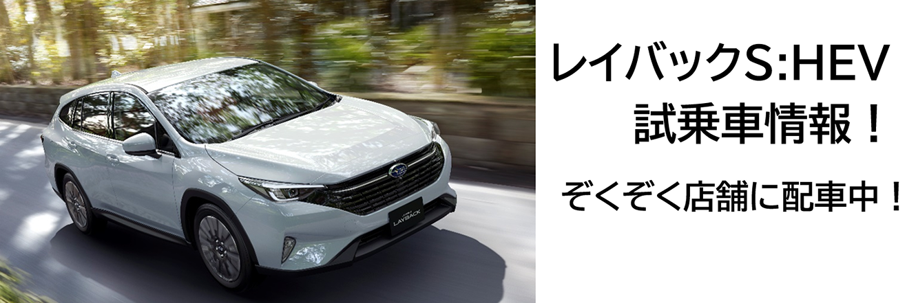 レイバックS:HEV 試乗車情報!