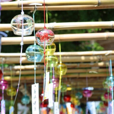 写真家誕生。
