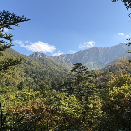 大山の外来種駆除ワークショップに参加してきました。